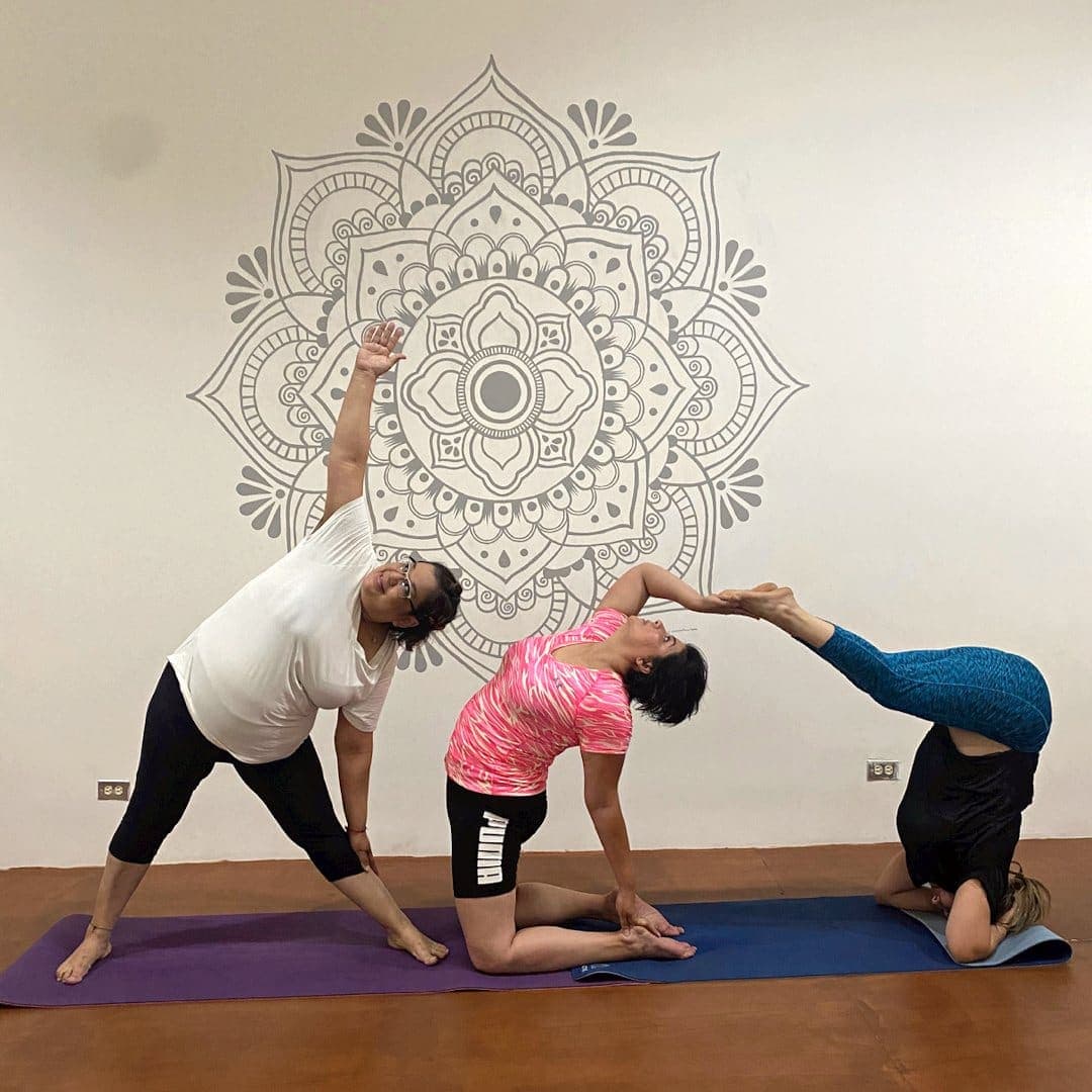 Vinyasa