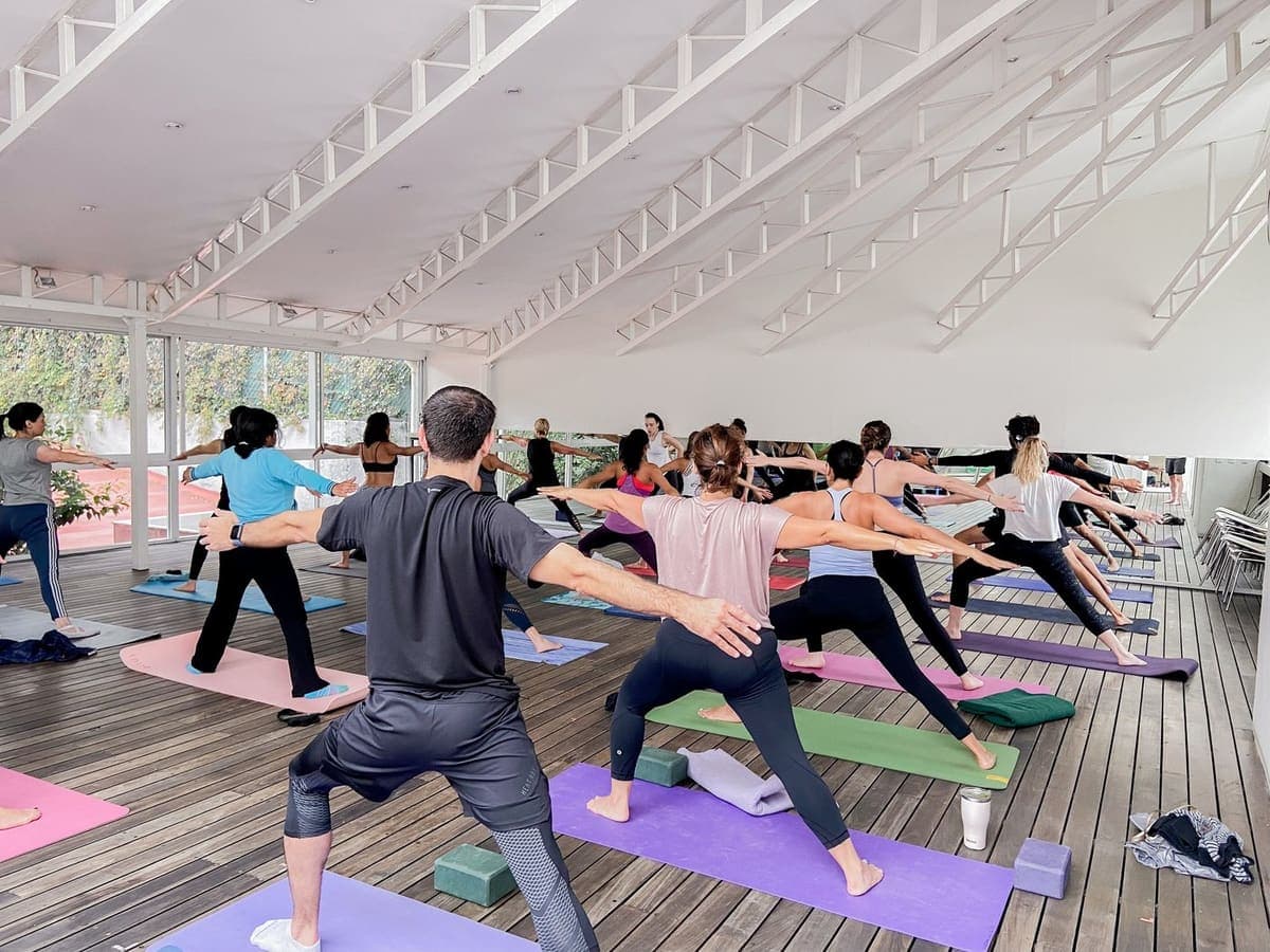 Vinyasa