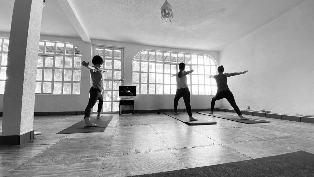 Yoga Terapéutico