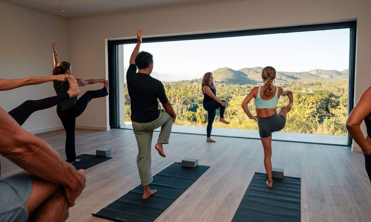 Vinyasa Flow