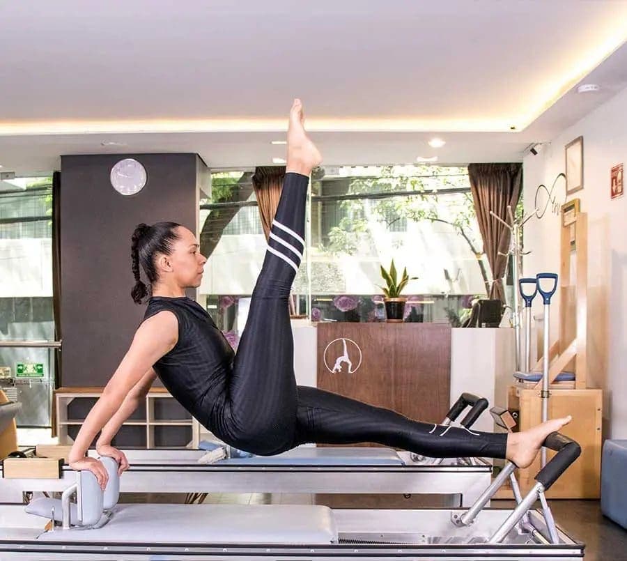 Reformer