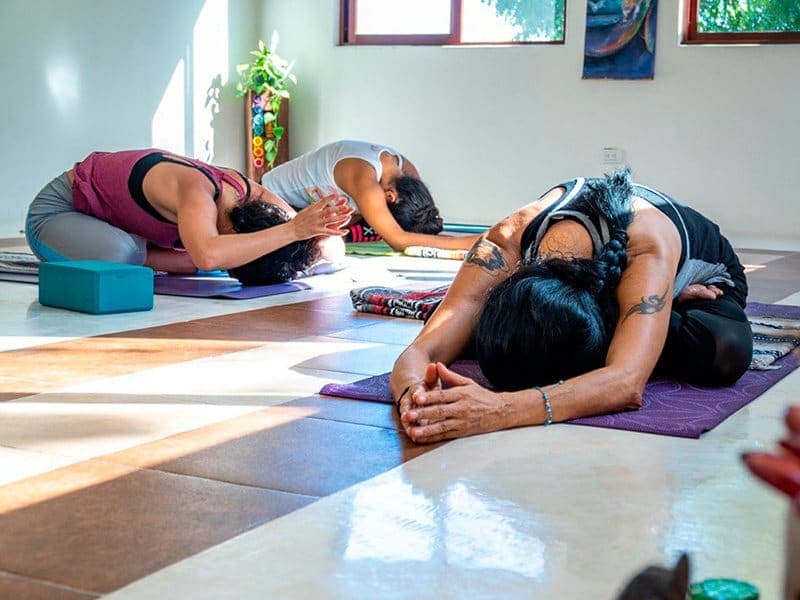 Vinyasa