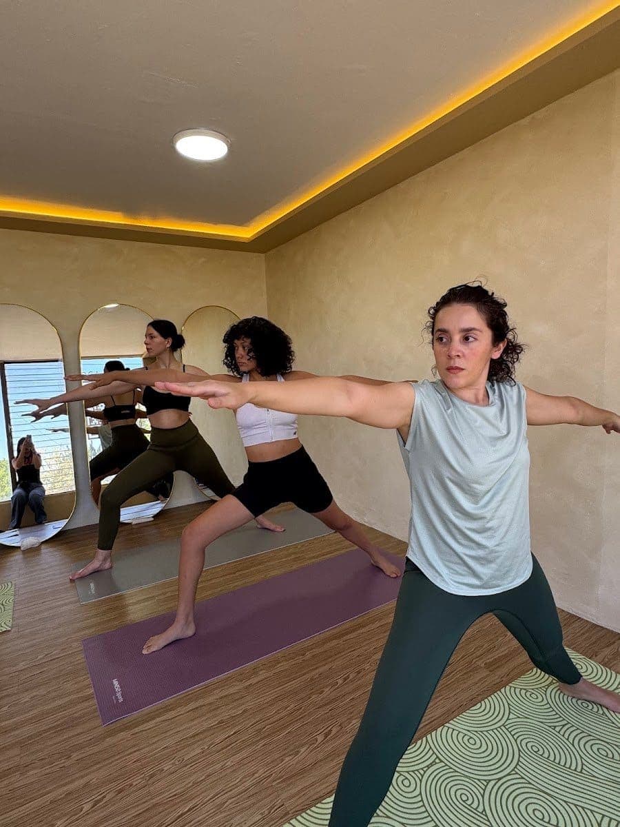 Sonoterapia