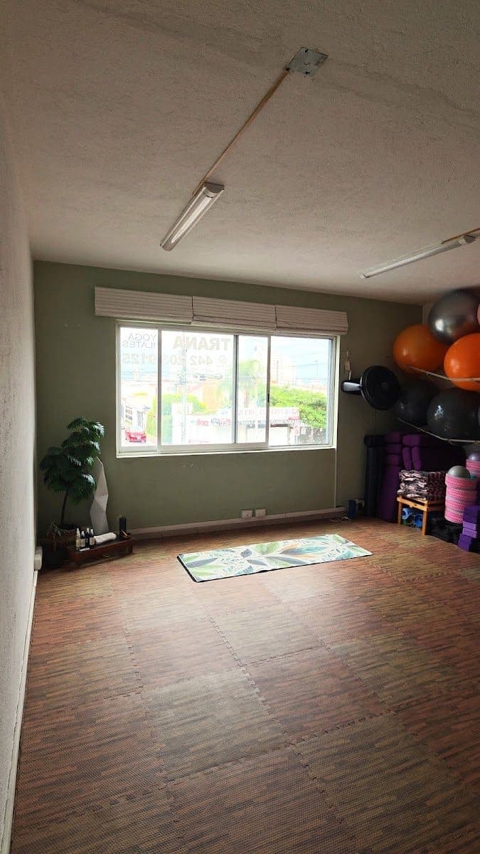 Vinyasa Krama