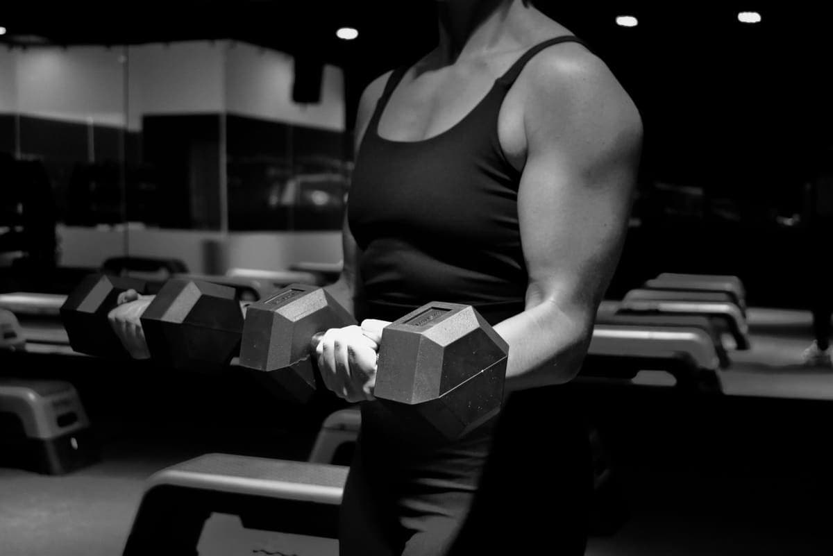 Sculpt