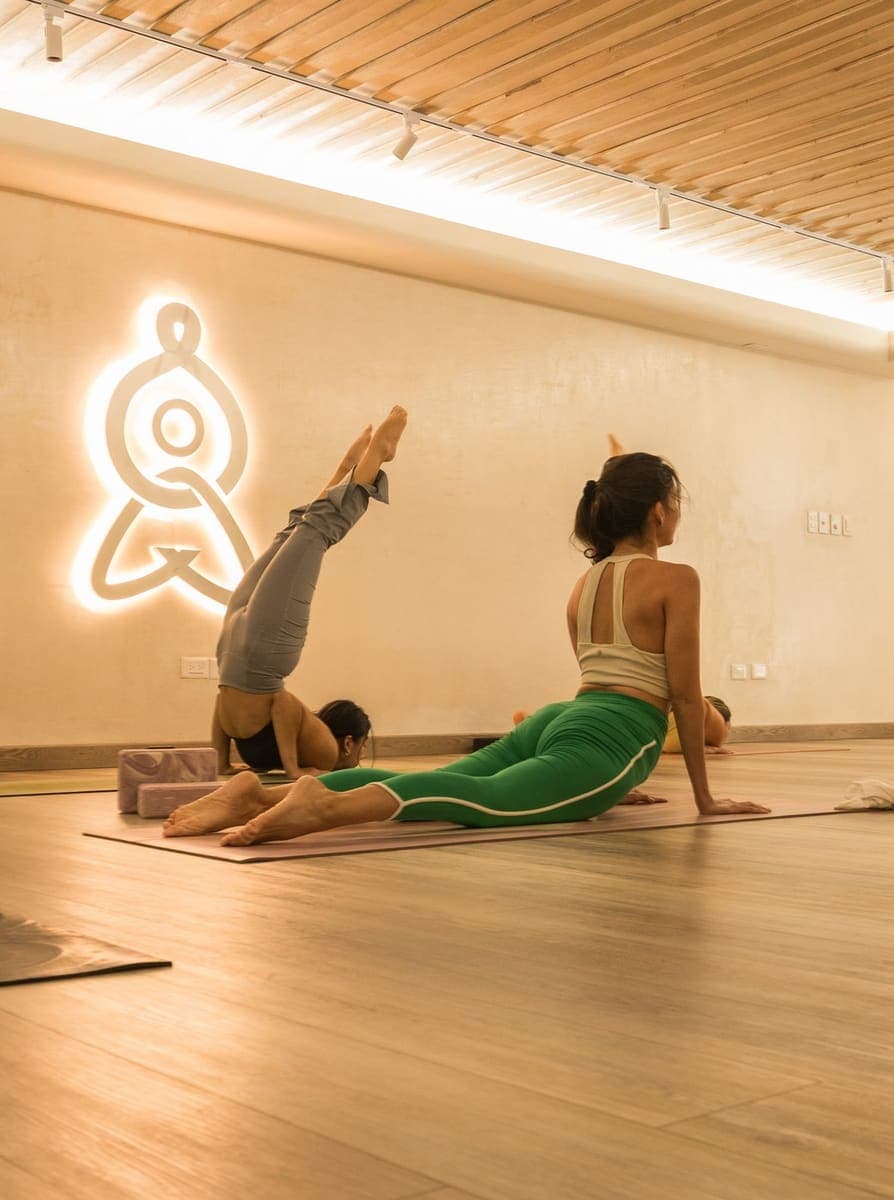 Yoga Wheel