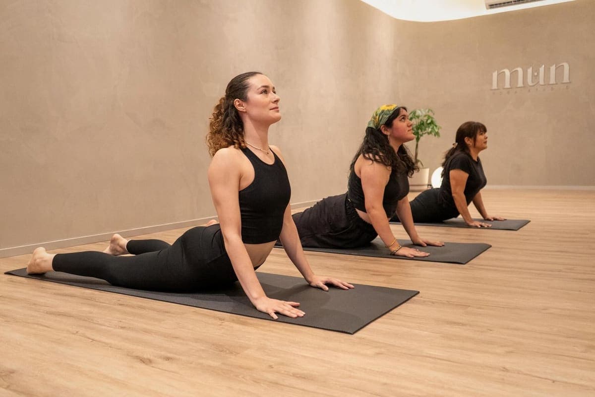 Vinyasa Flow