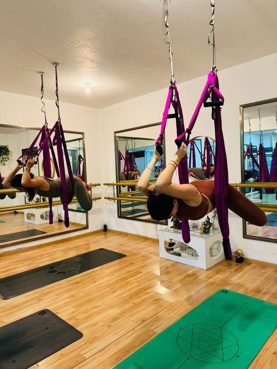 Vinyasa