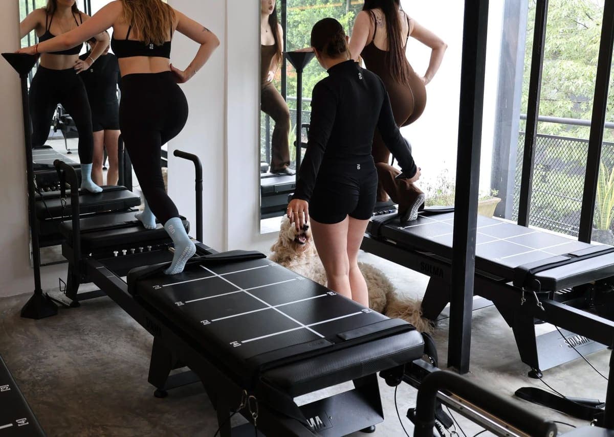 Reformer 50