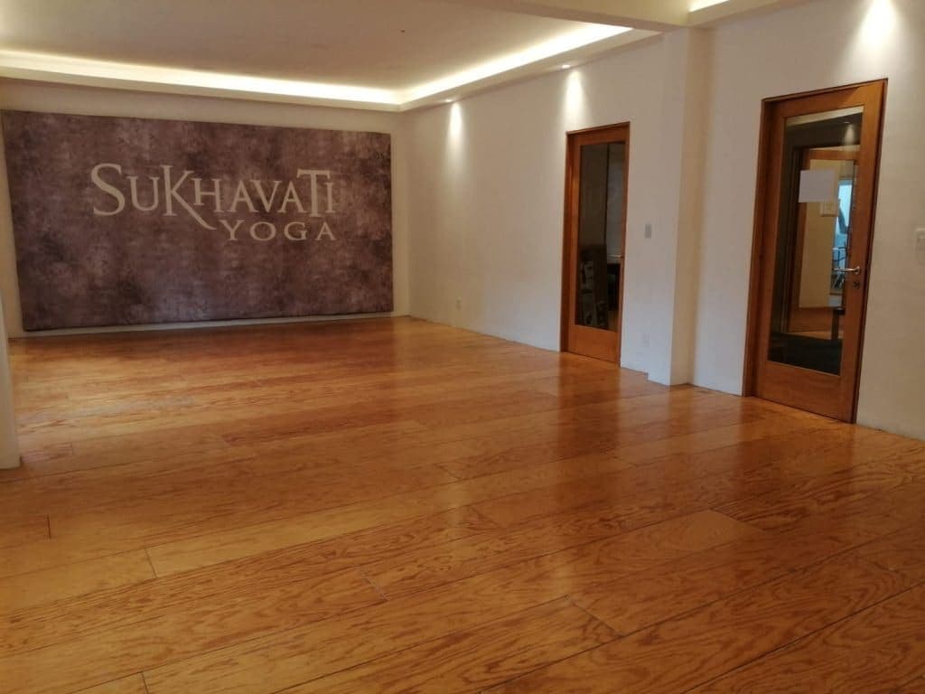Vinyasa