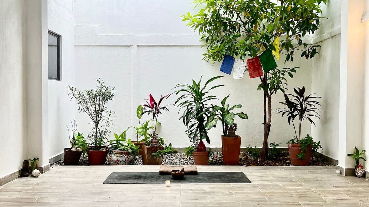 Vinyasa