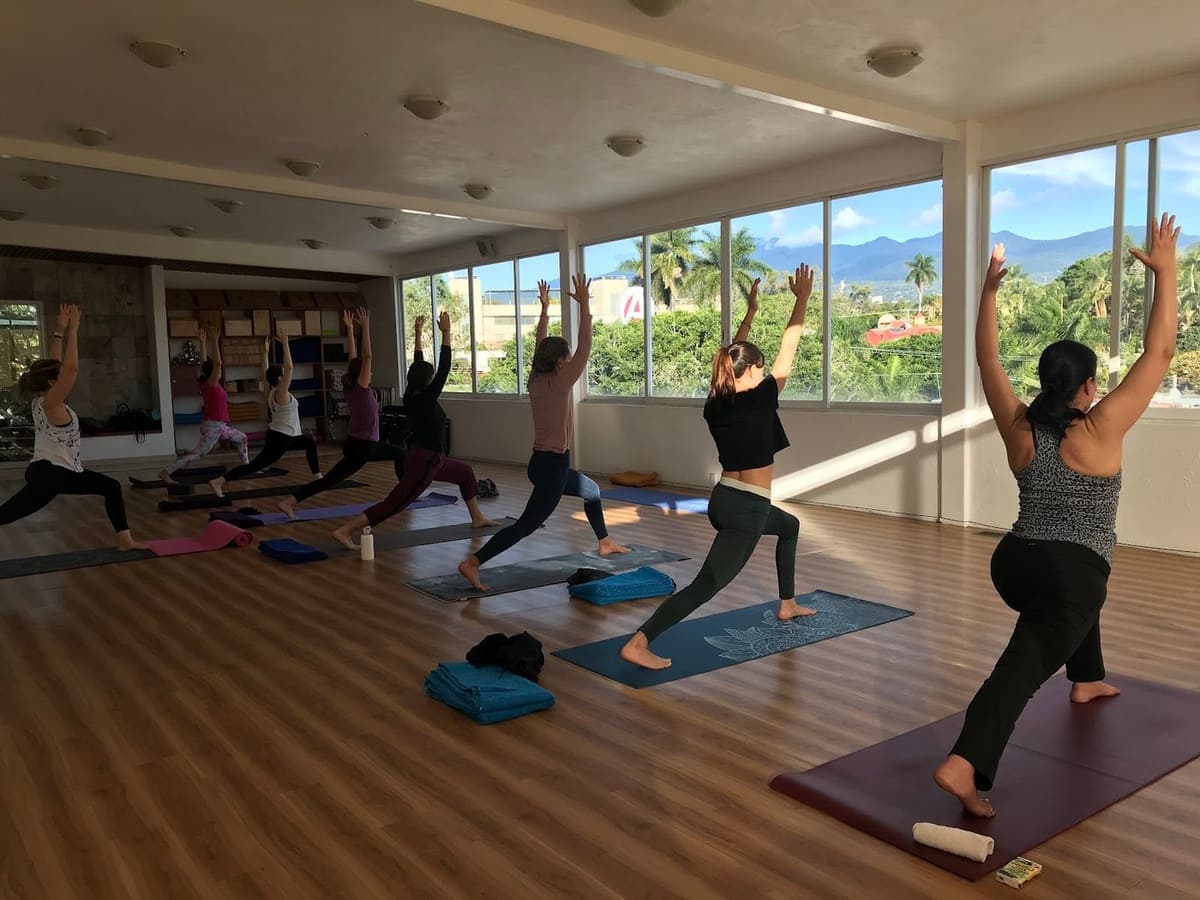 Vinyasa
