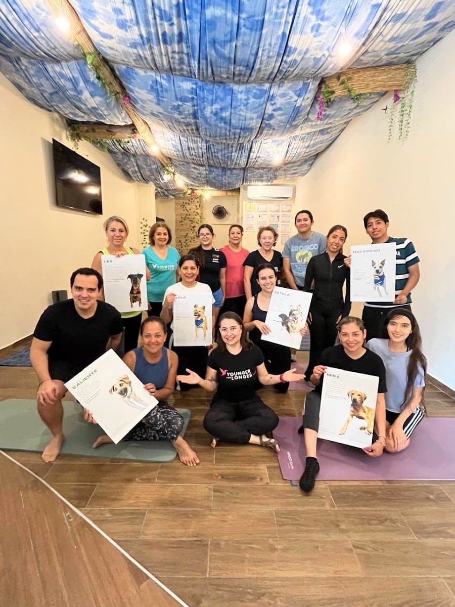 Yoga Terapéutico