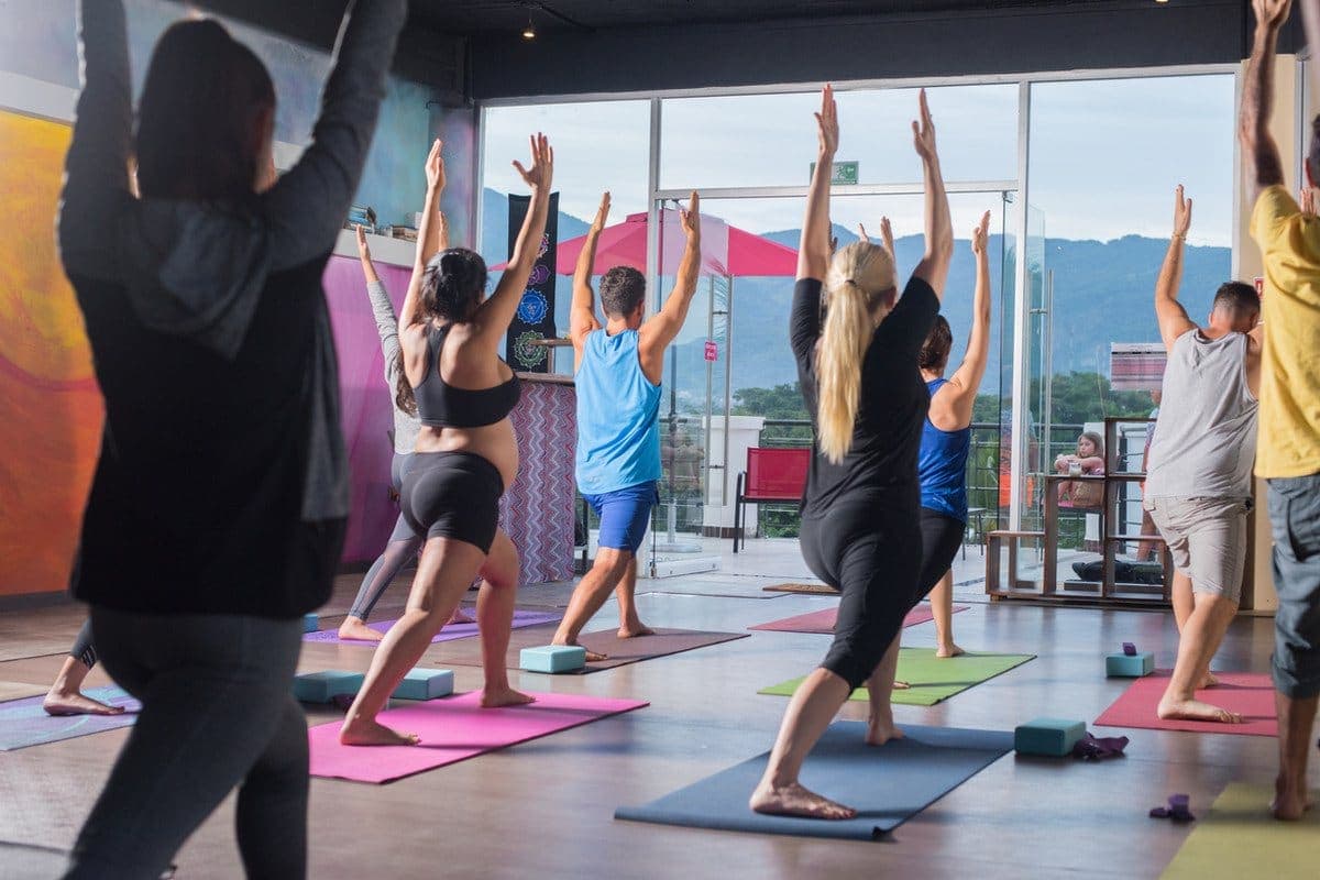 Vinyasa